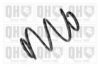 NISSA 54101AN0A Coil Spring